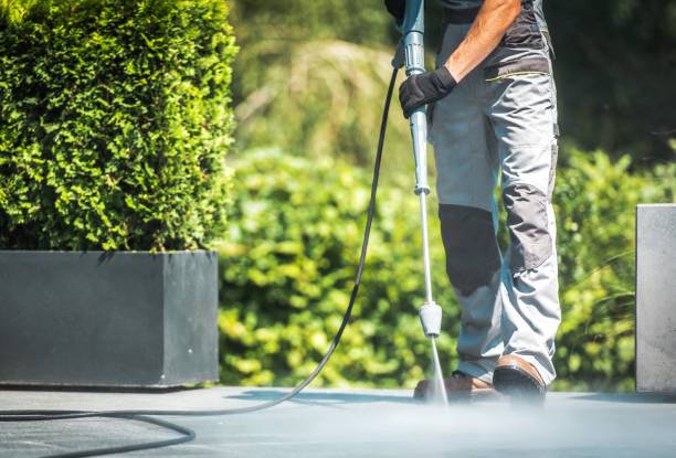 Best Patio and Deck Pressure Washing  in Oakland, MD