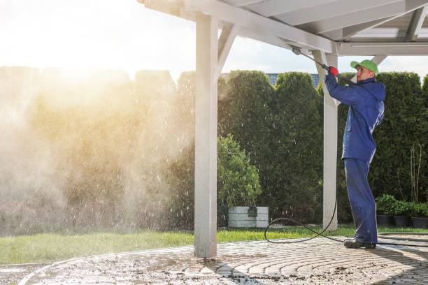Best Gutter Cleaning  in Oakland, MD